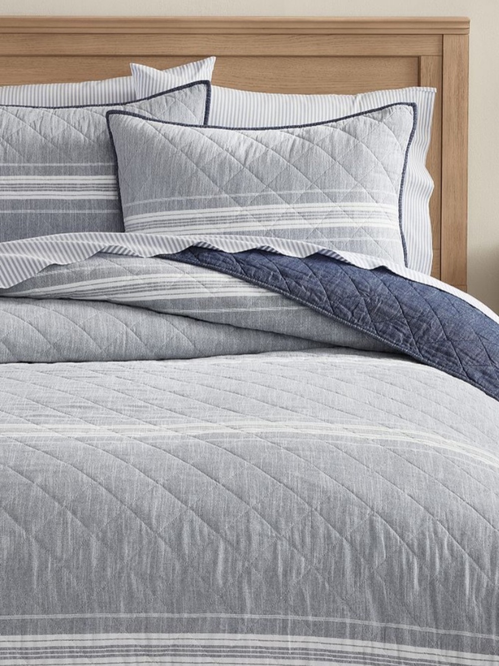 Pottery Barn Windward Stripe Shams (2)